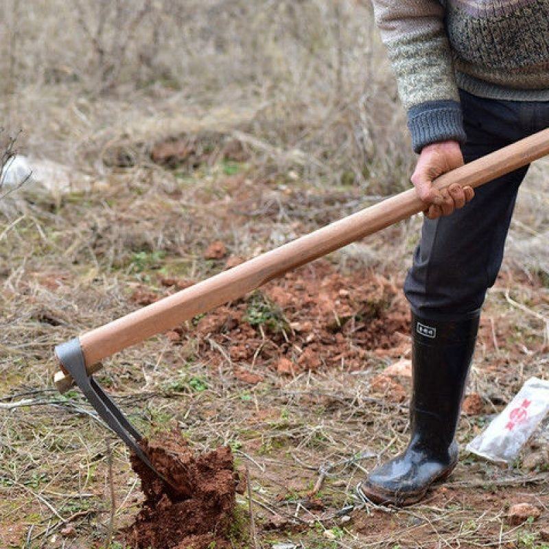 家用全钢长把二齿锄头两用挖土开荒种菜开垦种地农具两齿农用