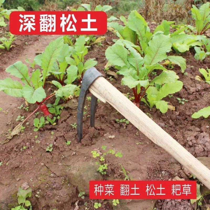 家用全钢长把二齿锄头两用挖土开荒种菜开垦种地农具两齿农用