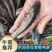 【南方大囗鲶鱼苗】大鲶河鲶,养殖周期短,渔场直供,全国发货