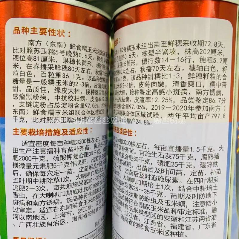 珍甜糯66玉米种子黏甜鲜香绿皮大棒白甜糯玉米种子国审品种