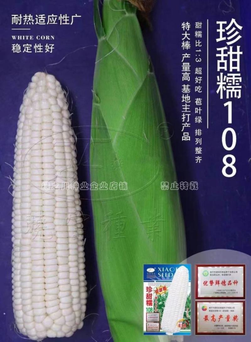 珍甜糯108白甜糯玉米种子大棒绿皮香粘糯鲜玉米种子特大穗