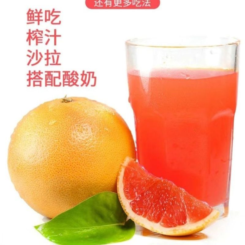 新品种台湾红心红肉葡萄柚纯甜葡萄暹罗红柚树苗批发现挖