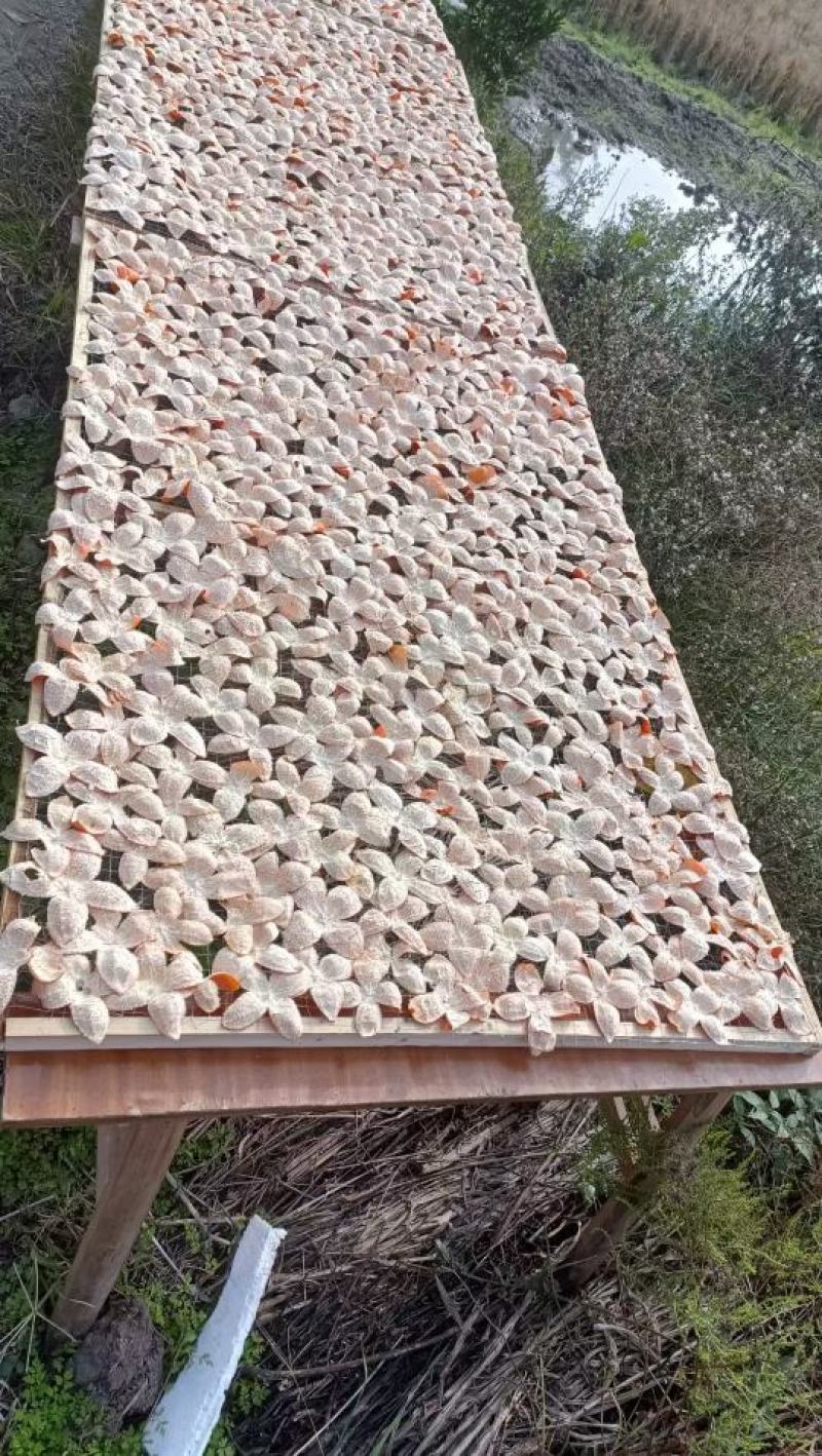资中川陈皮大红袍，