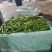 新鲜蚕豆，云南胡豆大量上市量大从优，欢迎致电