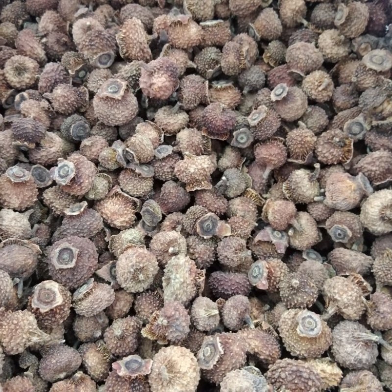 贵州去刺，刺梨干果