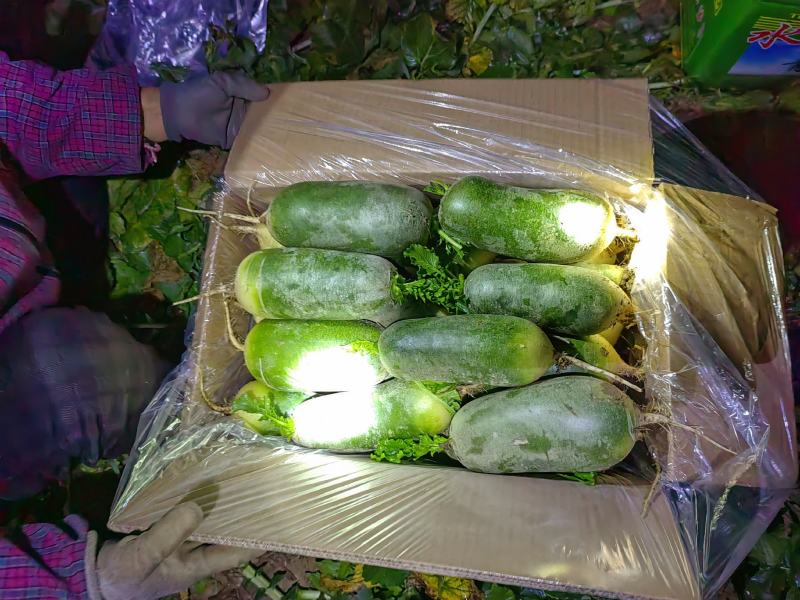 水果萝卜大量上市中