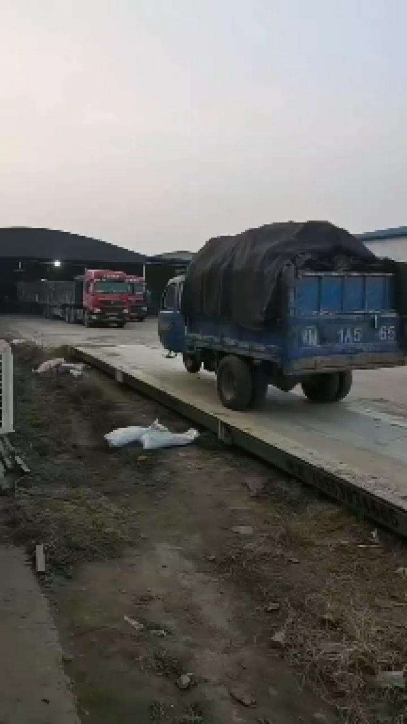 热卖中，滨州精品纯羊粪有机肥料，质量上乘，量大从优