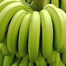 湛江徐闻香蕉芭蕉苹果焦产地货源低价供应按需分练