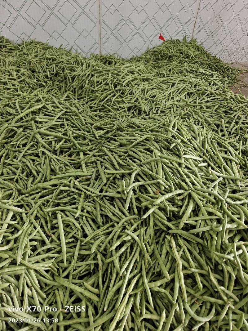 大量垃圾豆货源充足价格便宜电商市场需要看过来