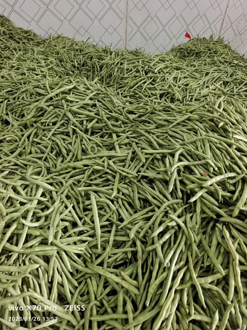 大量垃圾豆货源充足价格便宜电商市场需要看过来