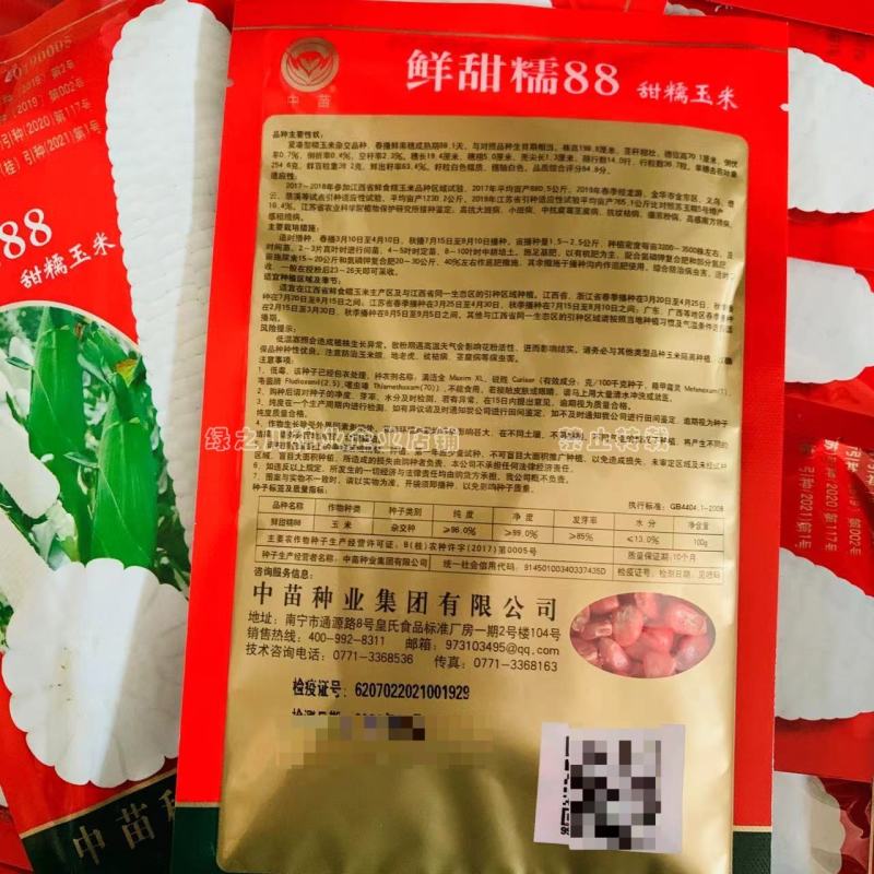 超甜糯白色甜糯玉米种子特甜糯特大棒白色粘糯玉米种籽