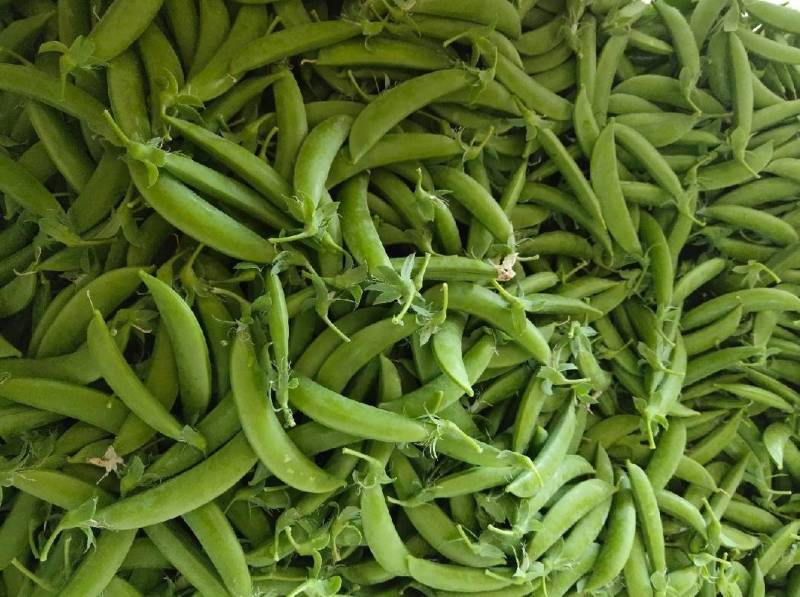 新鲜上市甜豆