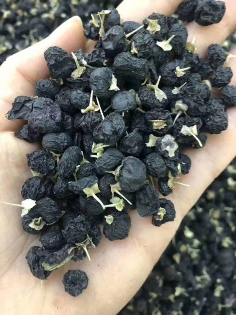新疆特产黑枸杞一斤正宗大果特级免洗枸杞泡茶水食用煲汤