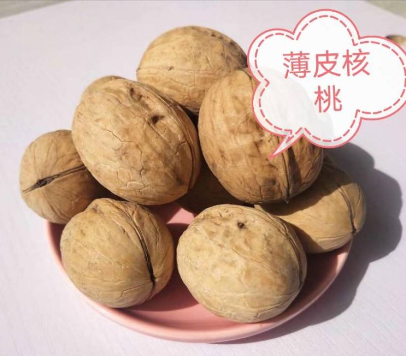 新疆2023年新核桃新货原味无漂白薄皮核桃原产地直供包邮