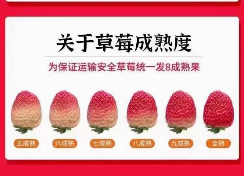 草莓
