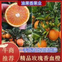 【精选】玫瑰香橙塔罗科血橙精品橙子产地直发一手货源