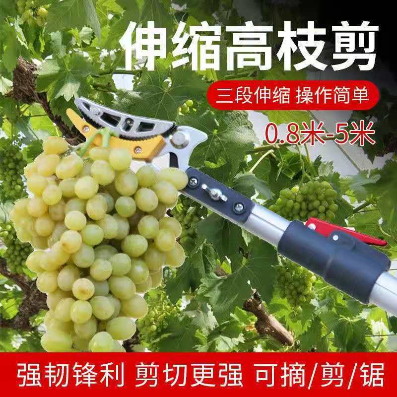 多功能伸缩高空摘果剪摘果神器采摘枇杷荔枝龙眼柿子高枝果树