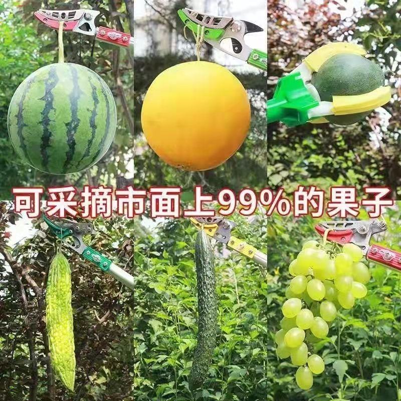 多功能伸缩高空摘果剪摘果神器采摘枇杷荔枝龙眼柿子高枝果树