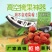 多功能伸缩高空摘果剪摘果神器采摘枇杷荔枝龙眼柿子高枝果树