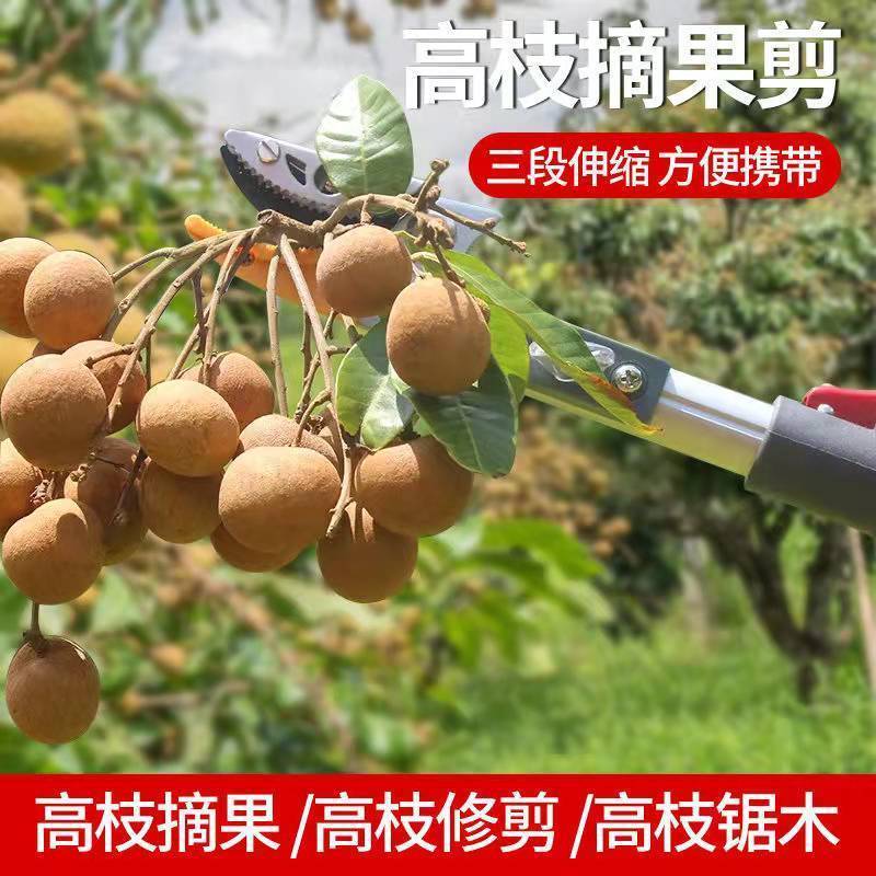 多功能伸缩高空摘果剪摘果神器采摘枇杷荔枝龙眼柿子高枝果树