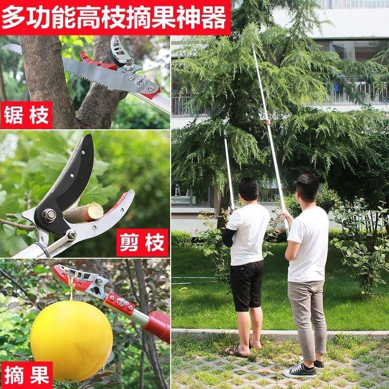 多功能伸缩高空摘果剪摘果神器采摘枇杷荔枝龙眼柿子高枝果树