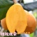 无核特大华玉一号枇杷树苗无籽枇杷南北方种植