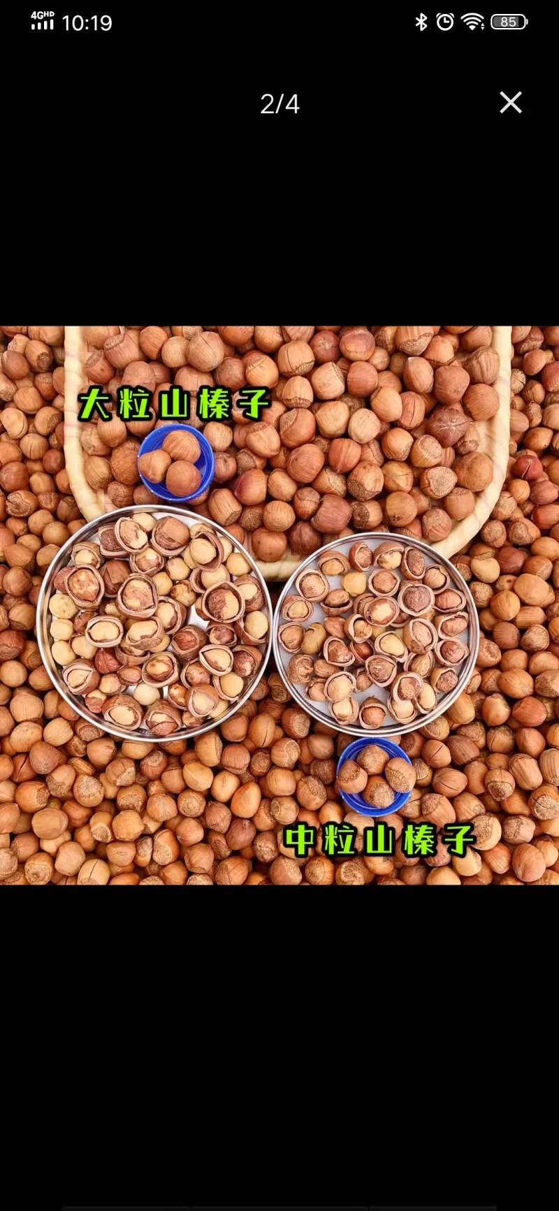 网红榛子