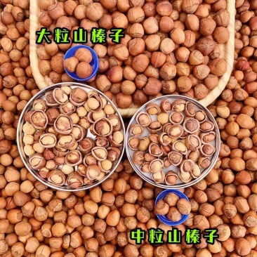 网红榛子