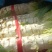 【荐】莴笋，武山洛门莴笋大量上市中，青笋质量优欢迎选购