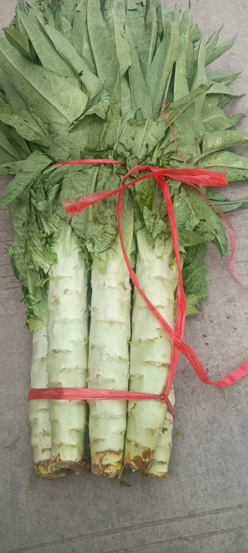 【荐】莴笋，武山洛门莴笋大量上市中，青笋质量优欢迎选购
