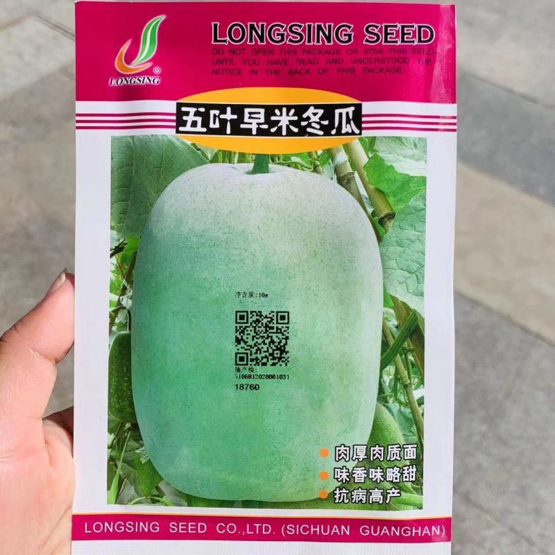 龙盛五叶早米冬瓜种子肉厚肉质面略甜抗病高产中早熟