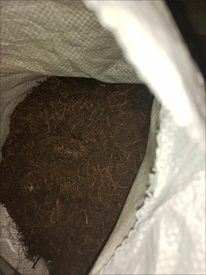 大山里的优质腐殖土，绿化养花，园林工程改良土壤佳品