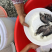 5月份出鳜鱼苗