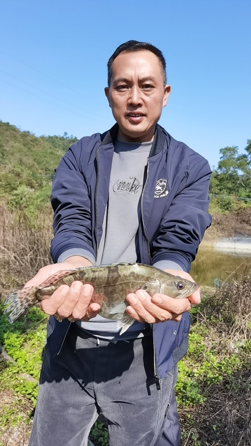 5月份出鳜鱼苗