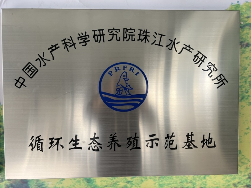 5月份出鳜鱼苗
