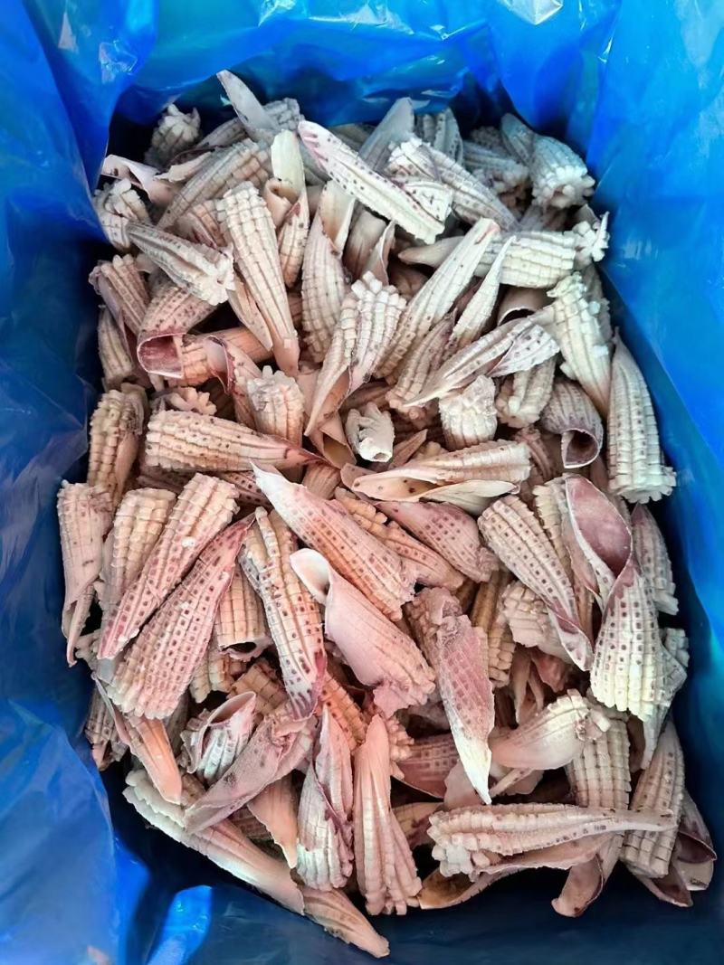 热卖山东威海鱿鱼尾花有现货，成色好，货源充足