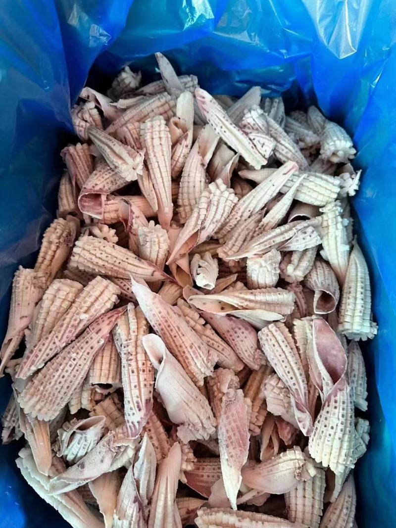 热卖山东威海鱿鱼尾花有现货，成色好，货源充足