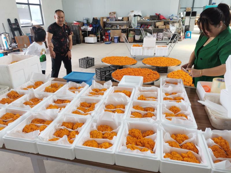 云南新鲜金耳基地大货直达