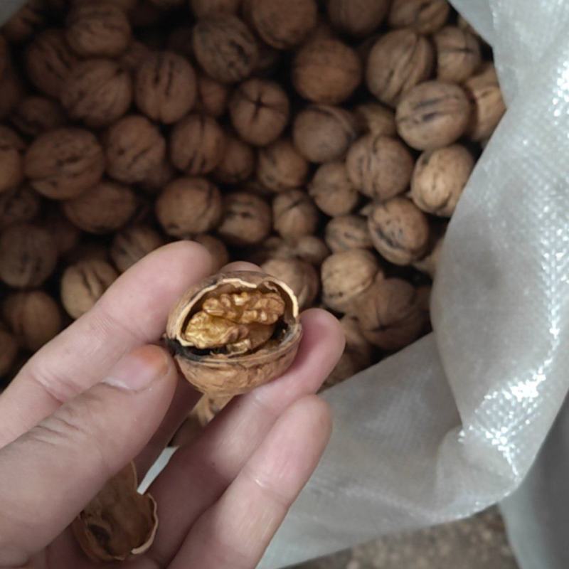 香玲核桃