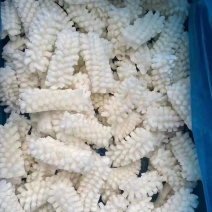 鱿鱼花目鱼花（有现货，成色好，货源充足）