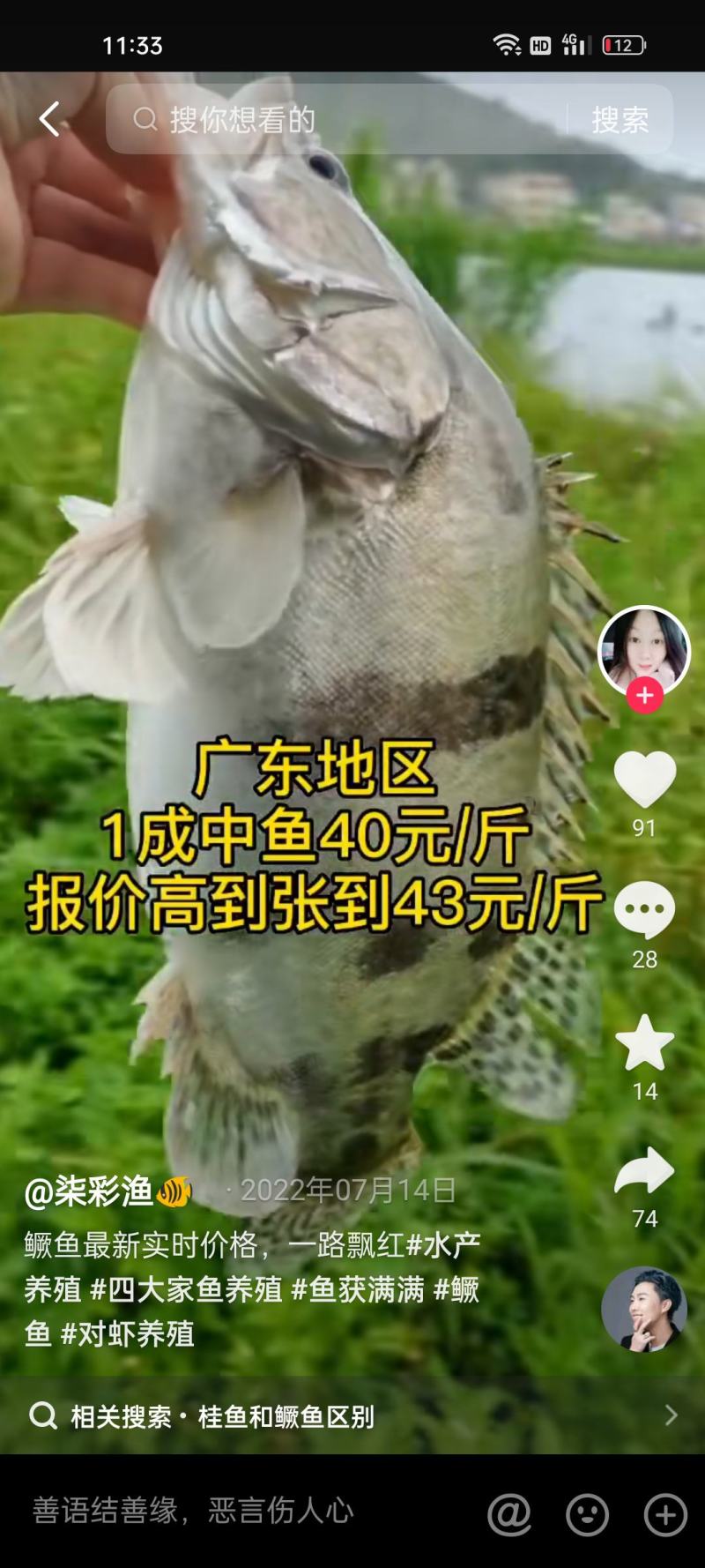 鳜鱼