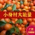 精品广西砂糖橘大量上市新鲜现摘薄皮无籽欢迎咨询