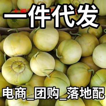 马连庄甜瓜【代办】【一件代发】甜宝甜瓜香瓜电商团购落地配