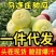 马连庄甜瓜【代办】【一件代发】甜宝甜瓜香瓜电商团购落地配