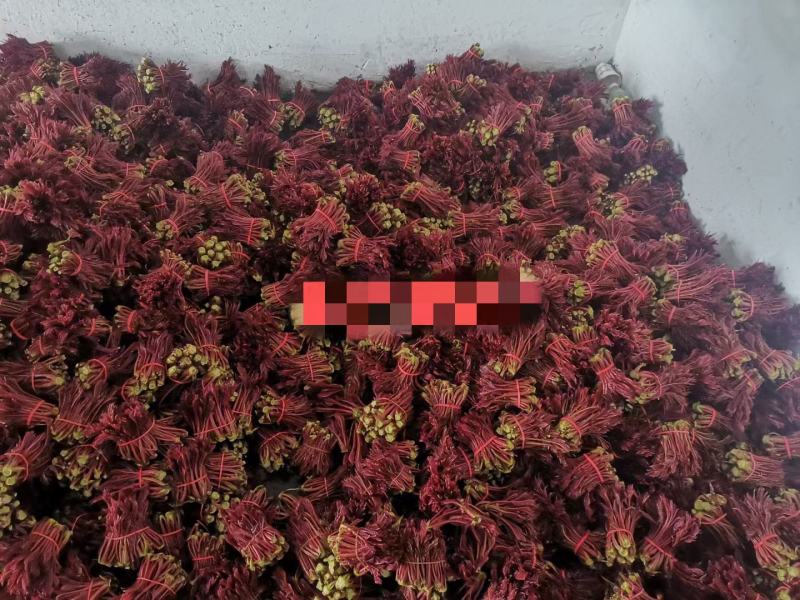 云南红河红香椿现摘现发，对接全国电商市场客户