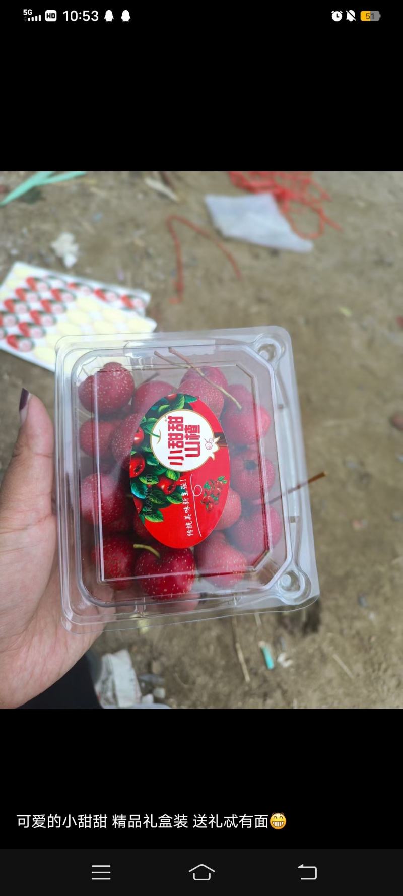 甜红子山楂，产地山东口感好，颜色红