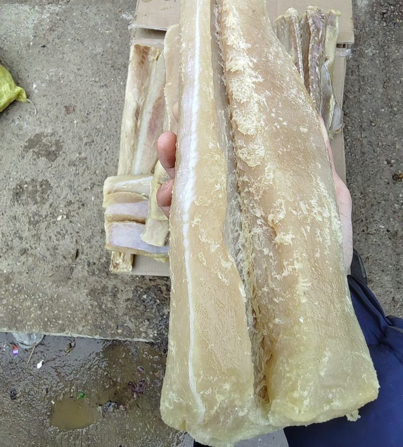鲨鱼肉干鲨鱼干鲨鱼肉条干货味道香鱼肉干货一家老少可食用