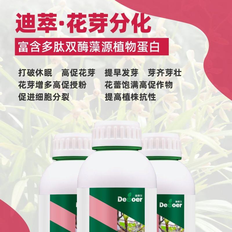 花芽分化素多果多防落果厂家直销一件包邮茄果类通用叶面肥