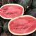 大果西瓜种子特大果卡其风暴西瓜种子高产高抗重茬懒汉瓜种子
