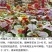 红苋菜种子圆叶速生蔬菜种子春季阳台庭院盆栽红圆苋菜种子